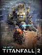 Amazon.com: The Art of Titanfall 2 (9781785653698): Andy McVittie: Books
