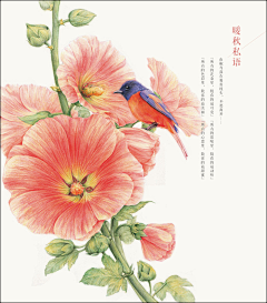 秋殇（招代理免费）采集到飞乐鸟