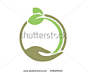 circle hand sprout leaf leaves seed image vector icon