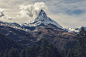 natural forest snow mountainous