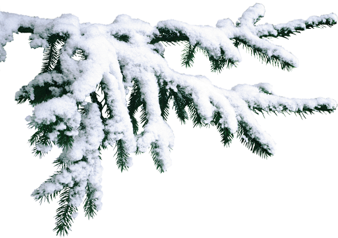 唯美冬季雪花飘雪景下雪PSD/PNG免抠...