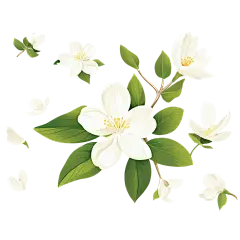 3D云设计编辑器 - 包小盒