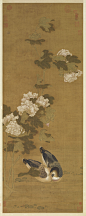 古画-花卉参考