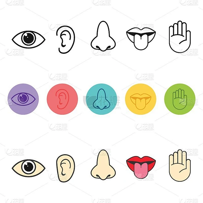 人类的感官所感觉到的图标。矢量插图,素材-花瓣网