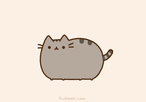 Pusheen the cat : =＾...