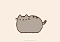 Pusheen the cat