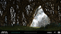 daniel-stok-avatar-frontiers-of-pandora-daniel-stok-veldt-bushpods-03.jpg?1705856844 (2.29 MB,3840*2157)
