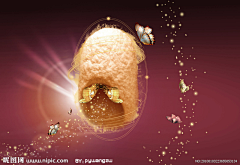 生哈u采集到破茧成蝶