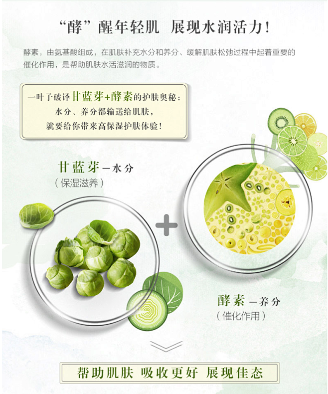 详情 化妆品详情 成分说明