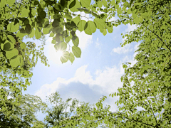 绿水红花采集到夏天的味道