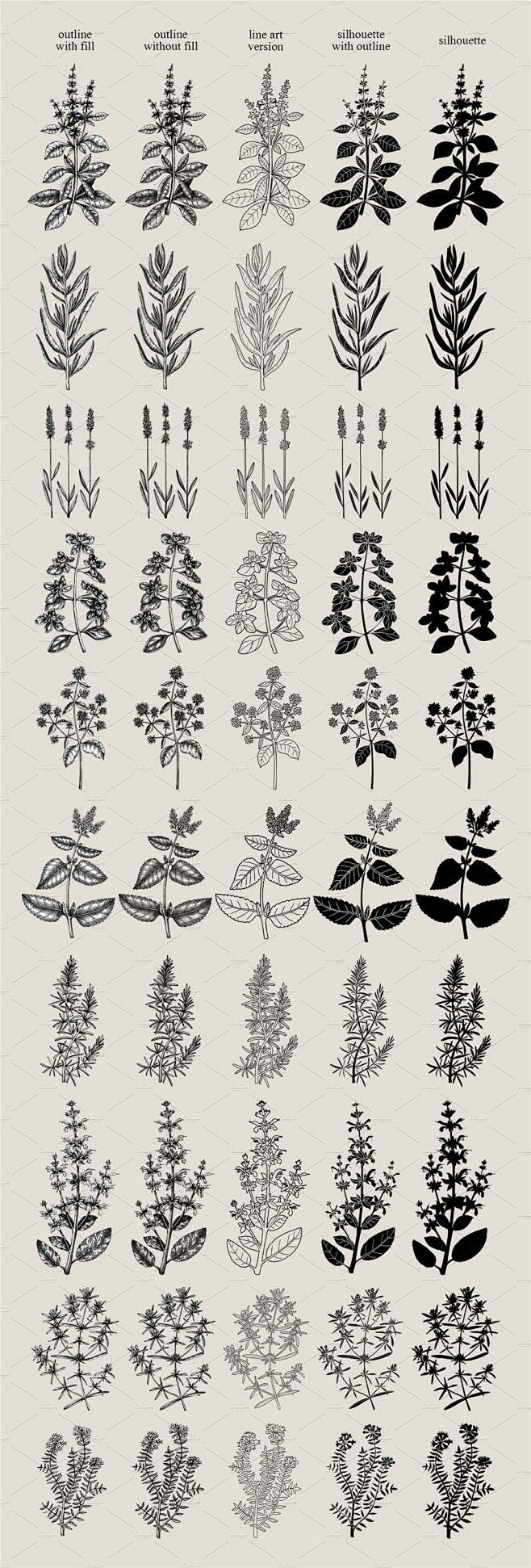普罗旺斯的草本植物。花卉拼贴画（Herb...