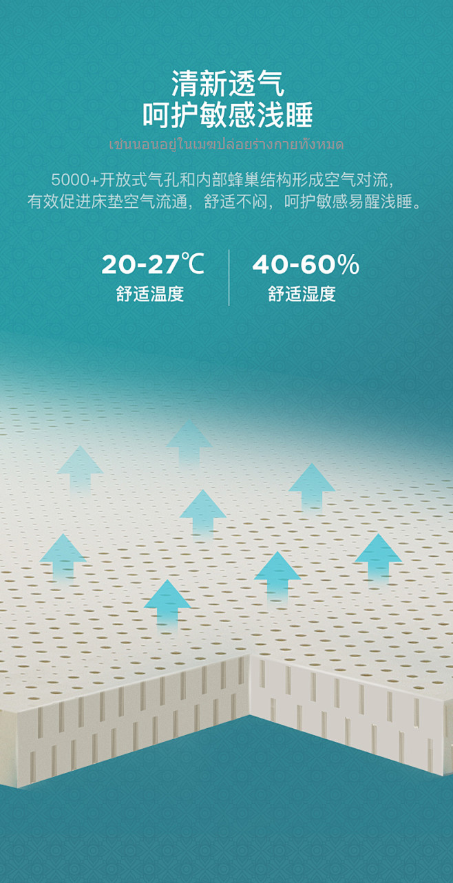 爱丽丝新_13.jpg