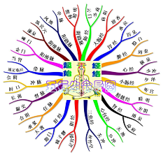 玅矆采集到穴位