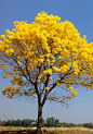 (34) Pinterest