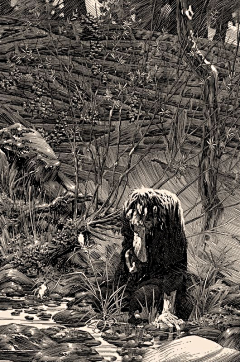 -YAOYAOO-采集到Bernie Wrightson