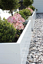 White painted raised beds surrounded by gravel, lovely.: 