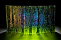 Mystic Forest 1  Kiln formed glass by Cathryn Shilling: 