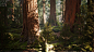 UE4 Redwood Forest V2 Update, Willi Hammes : Latest updated version of the procedural giant sequoia forest in Unreal Engine 4. Tones of new assets and massive tweaks to all textures and materials. The updated pack is now available via cgtrader: https://ww