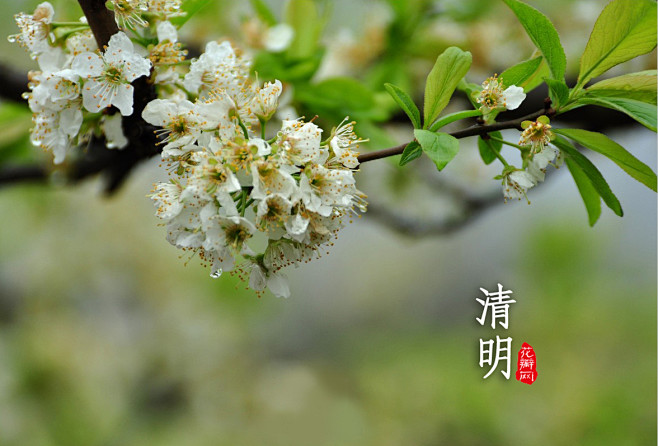 清明节是农历二十四节气之一，在仲春与暮春...