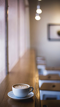 失语症白熊采集到概念图