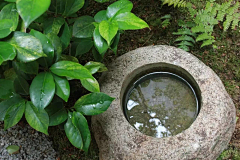折落采集到日本庭院实景