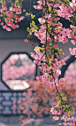 p411536226.webp (1024×1685)