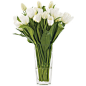 NDI Tulip White Glass Square By