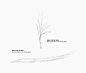 PAPER VEICLES OF FLIGHT - MISAWA DESIGN INSTITUTE | 三澤デザイン研究室 | 三澤 遥