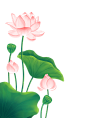 植物装饰 14