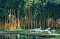 1966 Chaise Lounge | Get inspired. Take Knoll Outside._商业意境图 _室内外景采下来 #率叶插件，让花瓣网更好用#