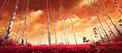 海盗（tora）采集到场景