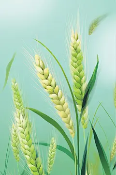 AI数字艺术手绘莠草谷雨插画-众图网