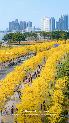 661LvQ53采集到道路景观