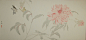 【花鸟】【李娇】-没骨花鸟-小品之█7█卡纸-已售 【天美新势力】 【中国书法超市】 - Powered by Discuz!