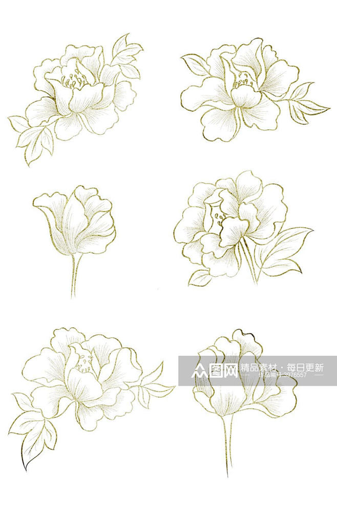 国风烫金牡丹花白描线稿免扣元素素材