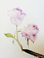 花事II
温柔的花，开在落叶缤纷的季节里
@手绘时光集  @本意绘片馆  @水彩初学教程  @水彩花卉教程 ​​​​