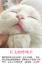 郭斯特的照片 - 微相册