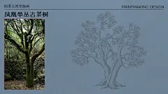 茶小开纯茶饮料包装设计-古田路9号-品牌创意/版权保护平台