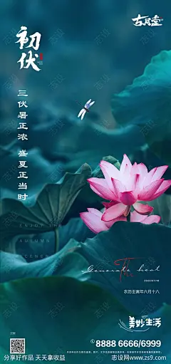 入伏初伏节气海报-源文件-志设网-zs9.com