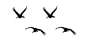 鸟群剪影鸟类飞鸟仙鹤透明背景图案ps后期美化免扣PNG免抠素材