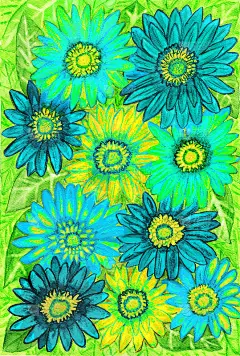 非洲菊，水彩画