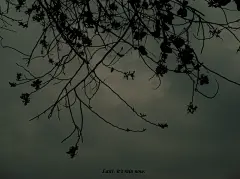 lan1  的插画 鼓浪屿快下雨了