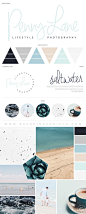 Seascape, ocean, beach & saltwater colors. Nature. Minimalist Mood Board. Earthy. Adventure. Professional Business Branding by Designer Laine Napoli. Web Design, Logo, Mood Board, Brand Boards, and more.