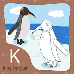 插画王企鹅孤立和上色