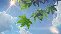 skillful:)优雅采集到指标详情