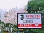 仙华国际会议中心的公交站牌，许是度假村的欧式风格原因，这块站牌也是与浦江县城内的公交站牌风格不同。3月初的早樱，衬的这块站牌硬是拍出了日系风~