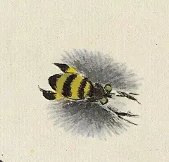 齐白石——蜜蜂