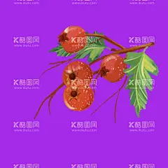 手绘柿子水果  - 源文件下载【酷图网】手绘柿子水果,卡通水果,插画水果,手绘素材,插画素材