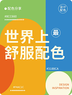 小胡头采集到11