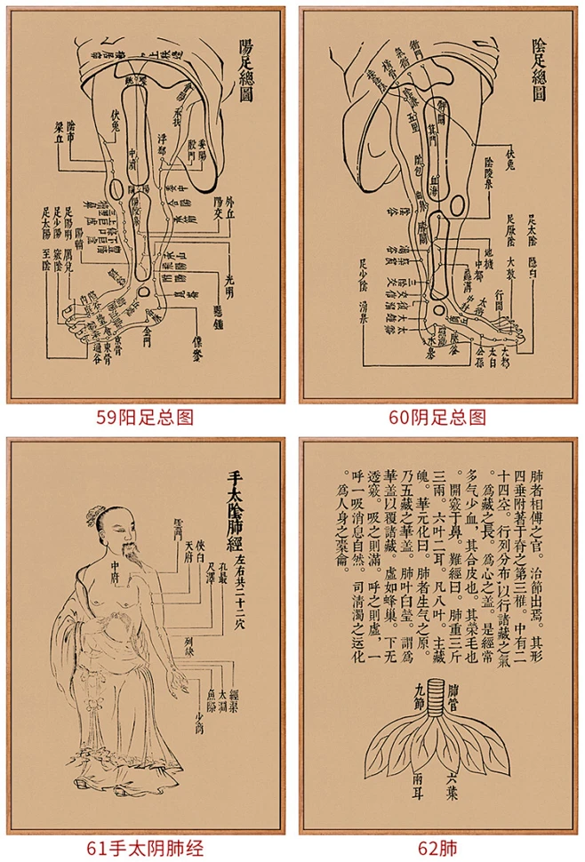 河图洛书伏羲八卦图类经图翼医学壁画易经中医馆装饰画新中式挂画-淘宝网-花瓣网